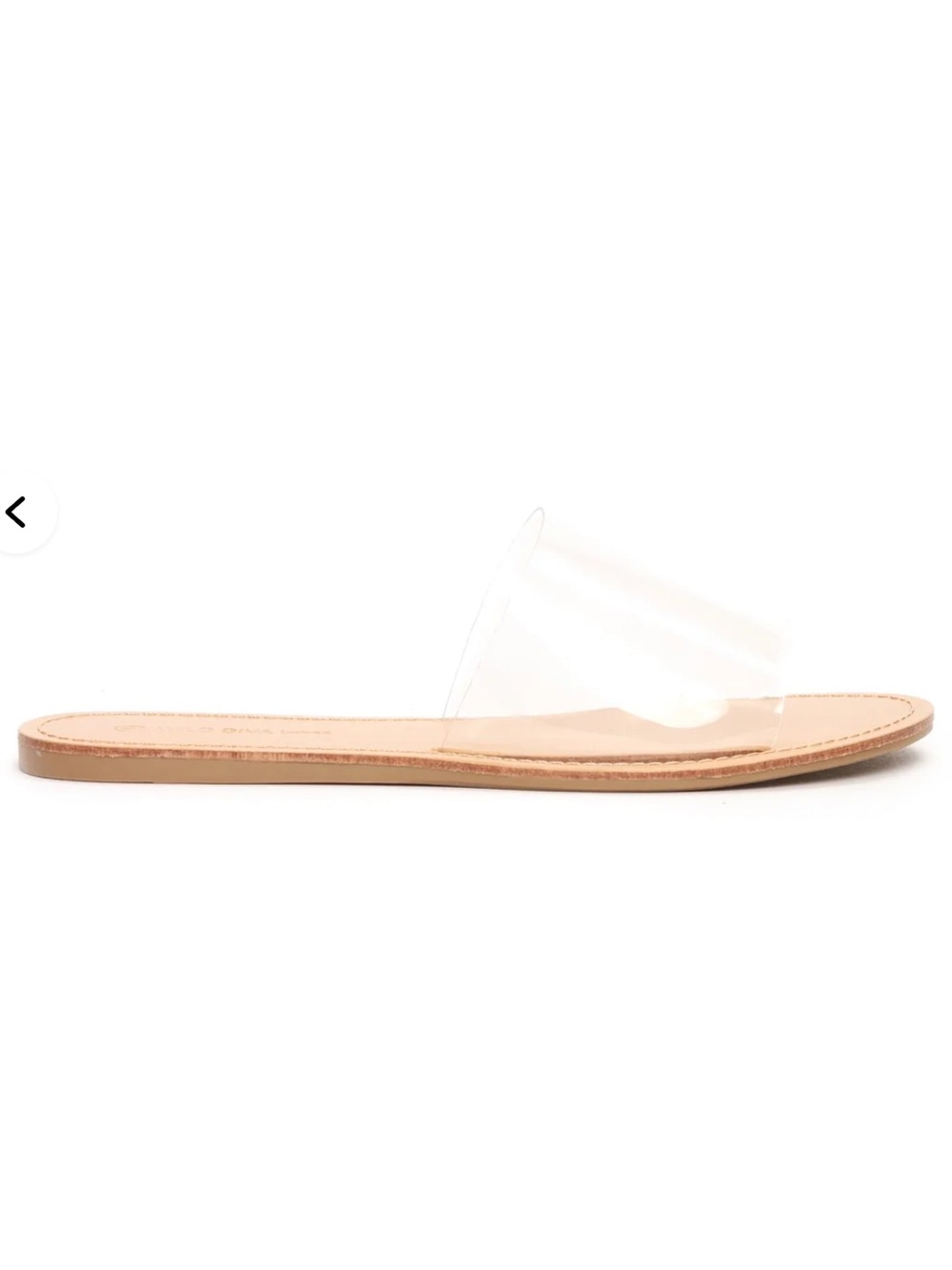 Clear Slide Sandal in Nude